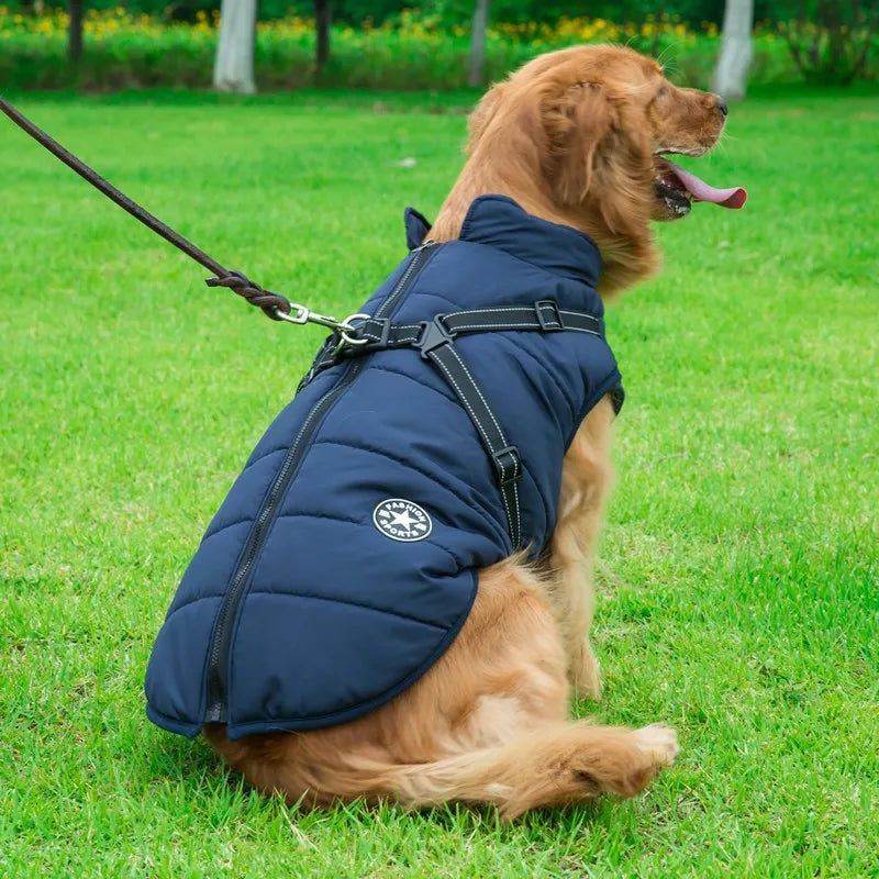 ArcticGuard Harness Jacket