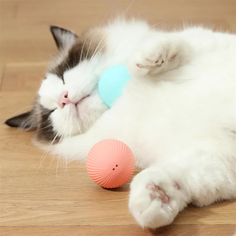 PawMotion Smart Ball