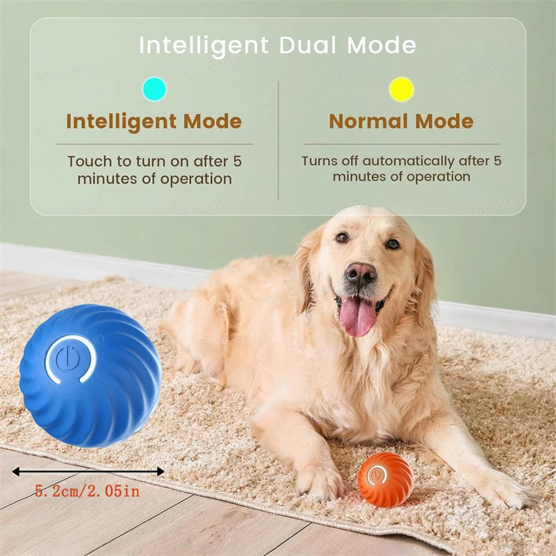 PawMotion Smart Ball