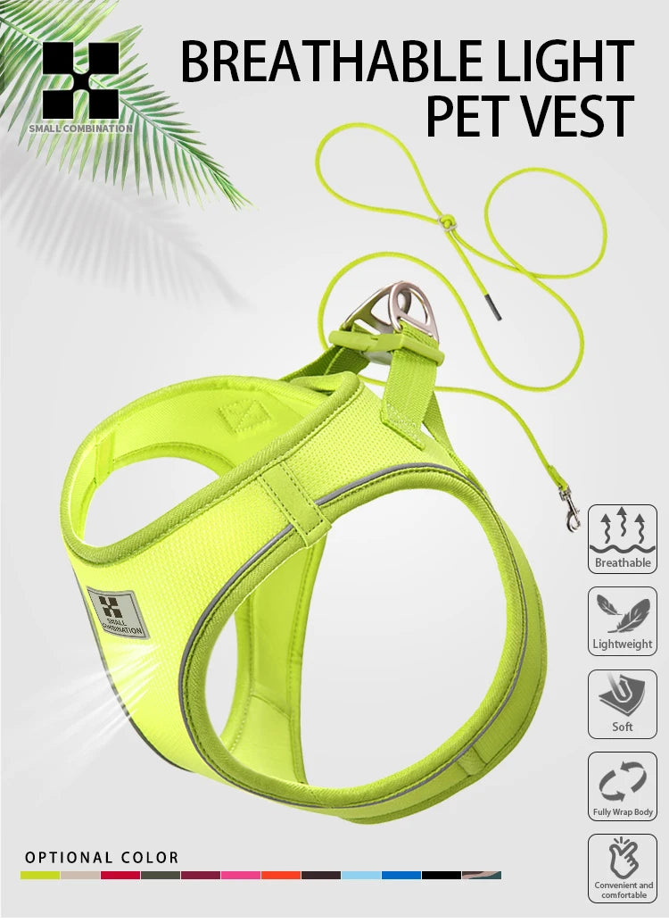 PawFit Reflective Harness & Leash Set