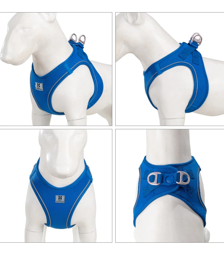 PawFit Reflective Harness & Leash Set