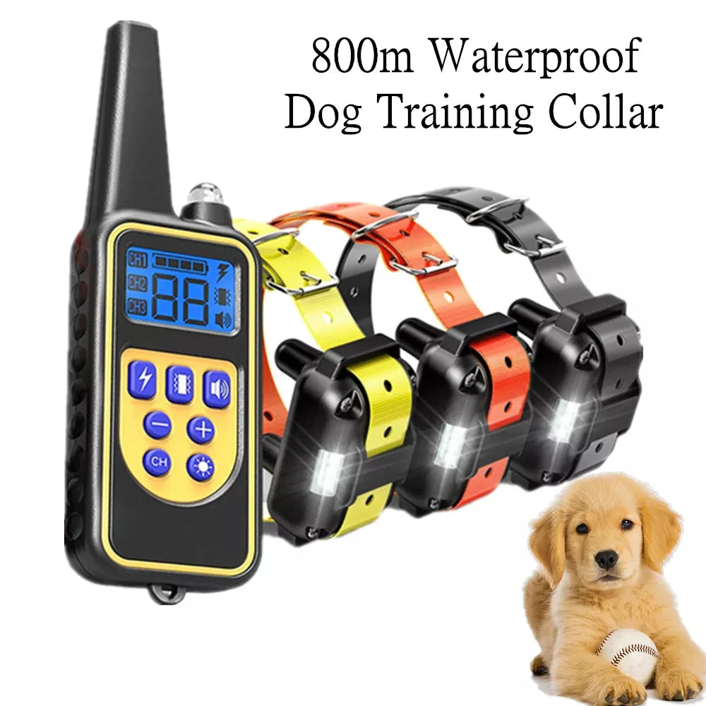 AlphaReach 800 Training Collar