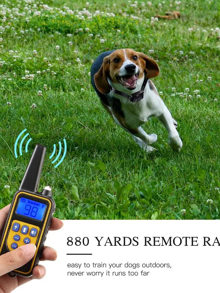 AlphaReach 800 Training Collar