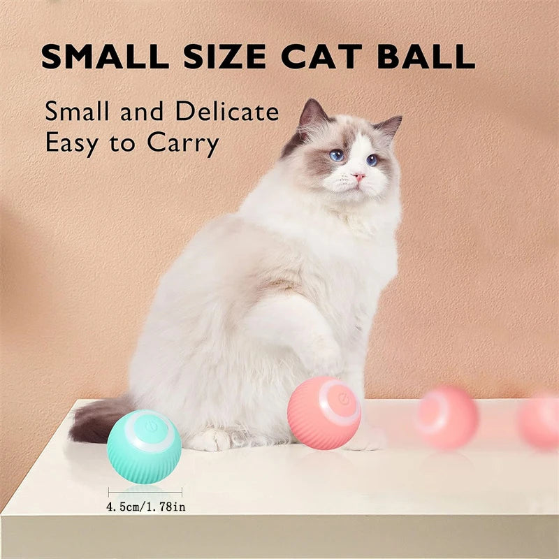 PawMotion Smart Ball