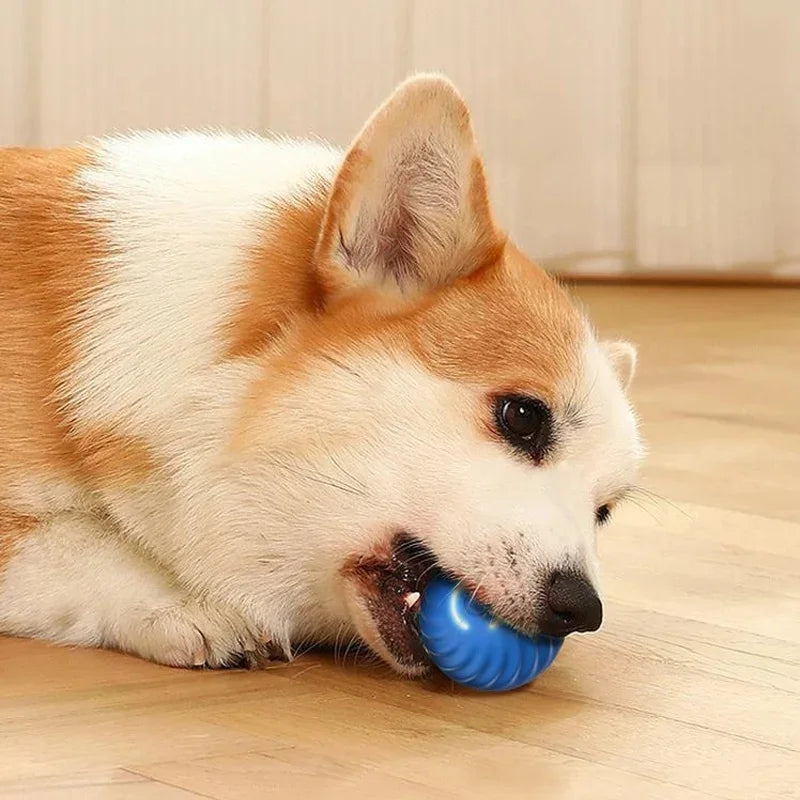 PawMotion Smart Ball