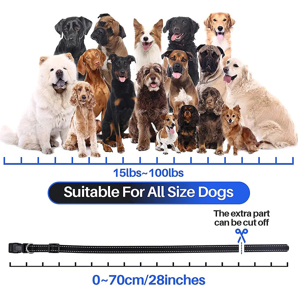 AlphaReach 800 Training Collar