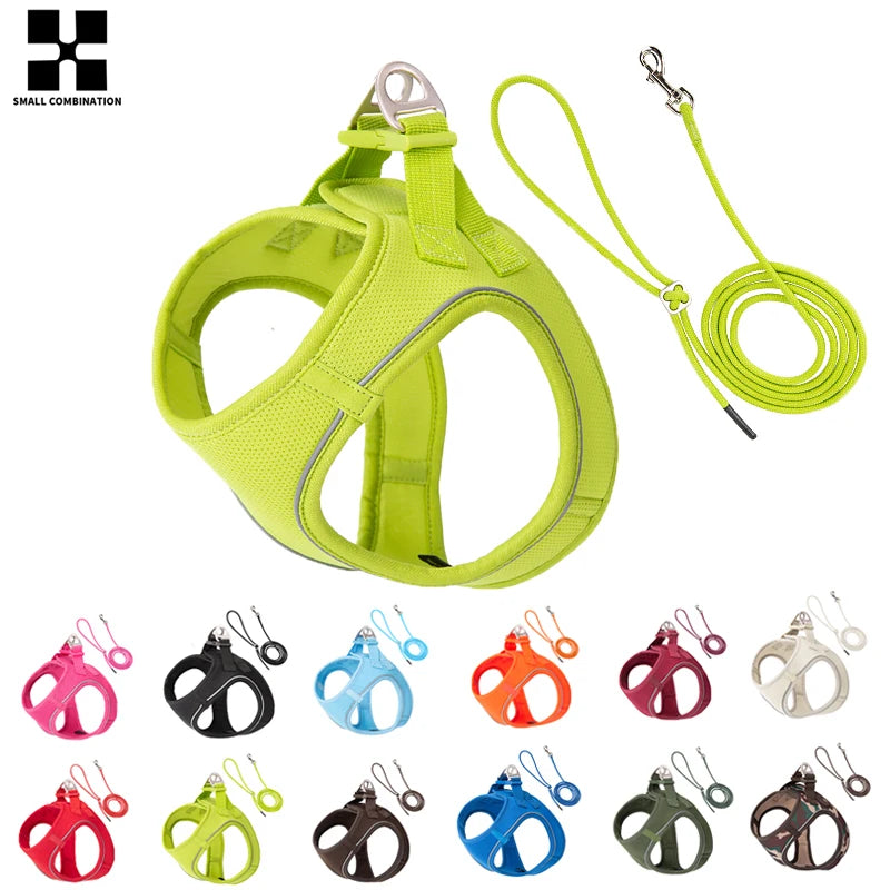 PawFit Reflective Harness & Leash Set