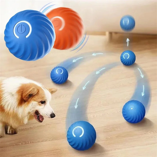PawMotion Smart Ball