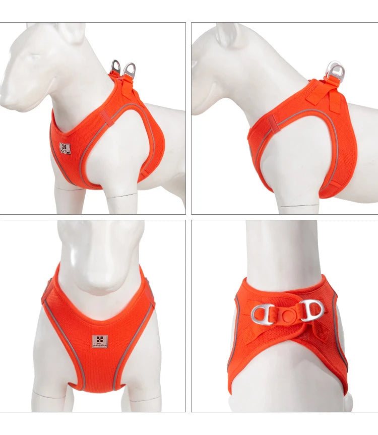 PawFit Reflective Harness & Leash Set