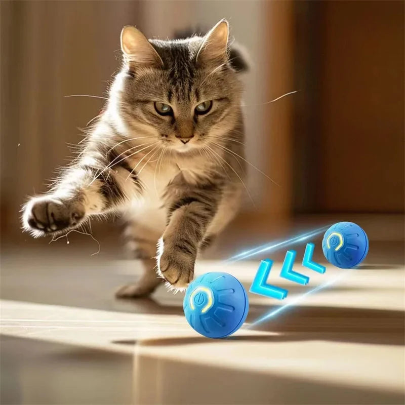 PawMotion Smart Ball