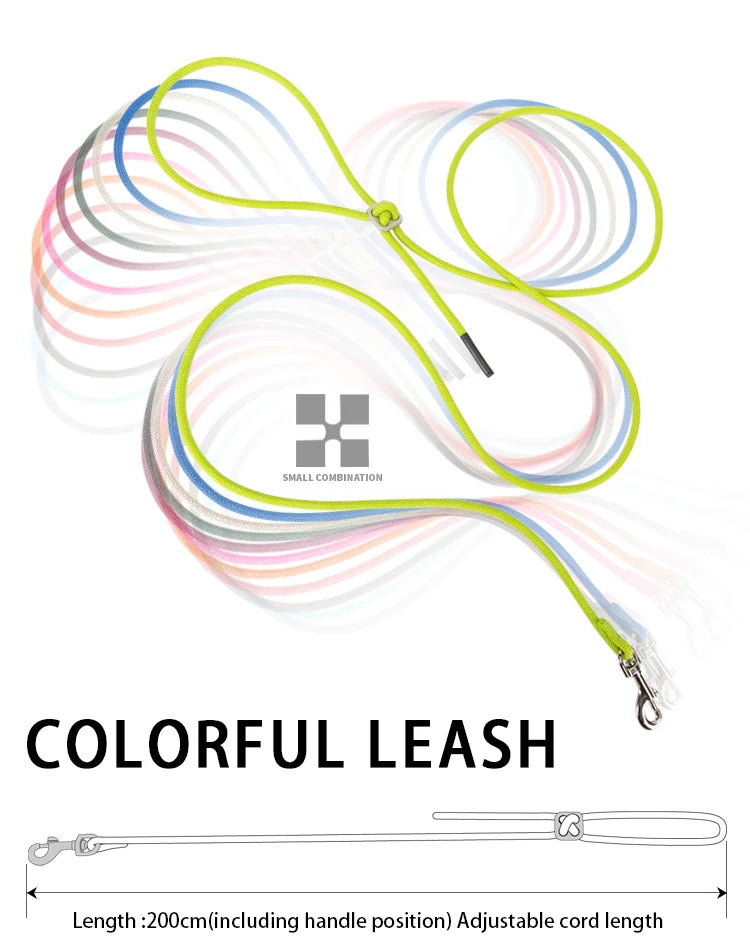 PawFit Reflective Harness & Leash Set