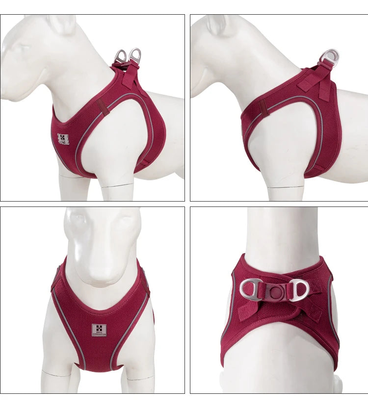 PawFit Reflective Harness & Leash Set