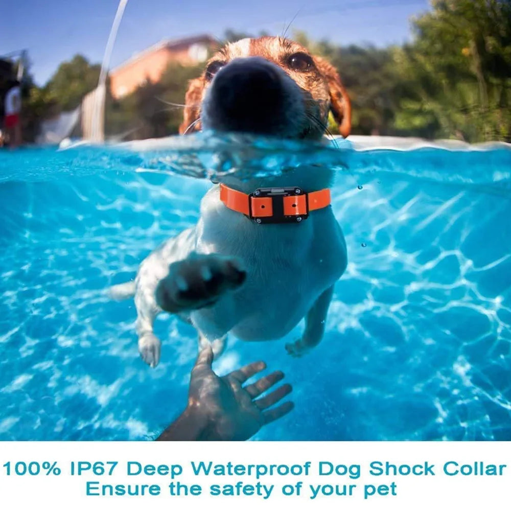 AlphaReach 800 Training Collar