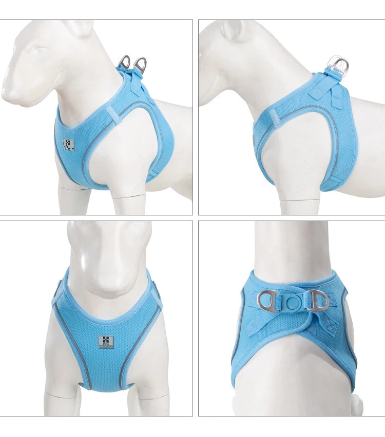 PawFit Reflective Harness & Leash Set