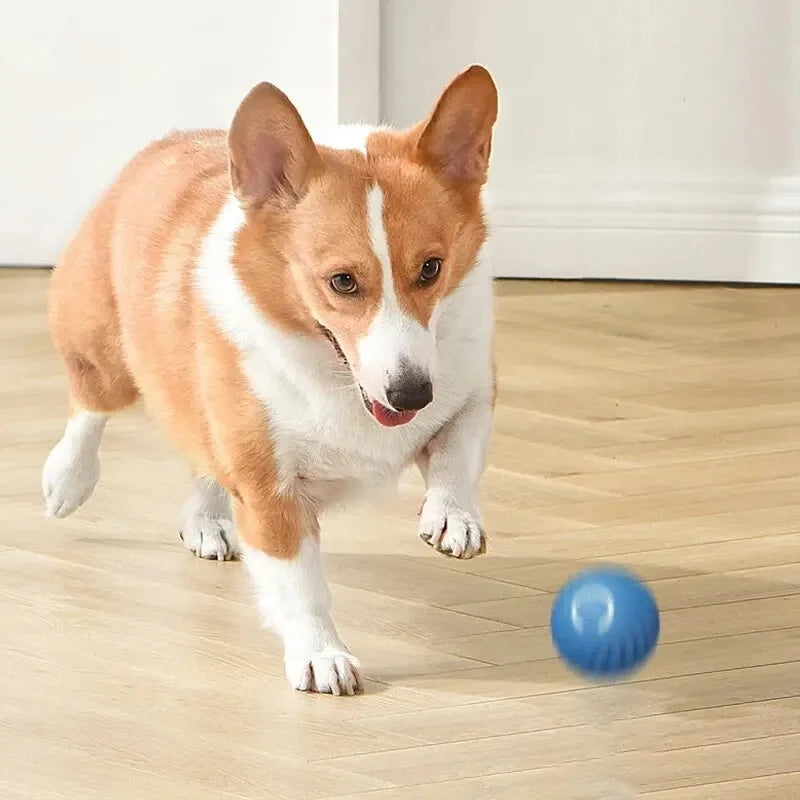 PawMotion Smart Ball