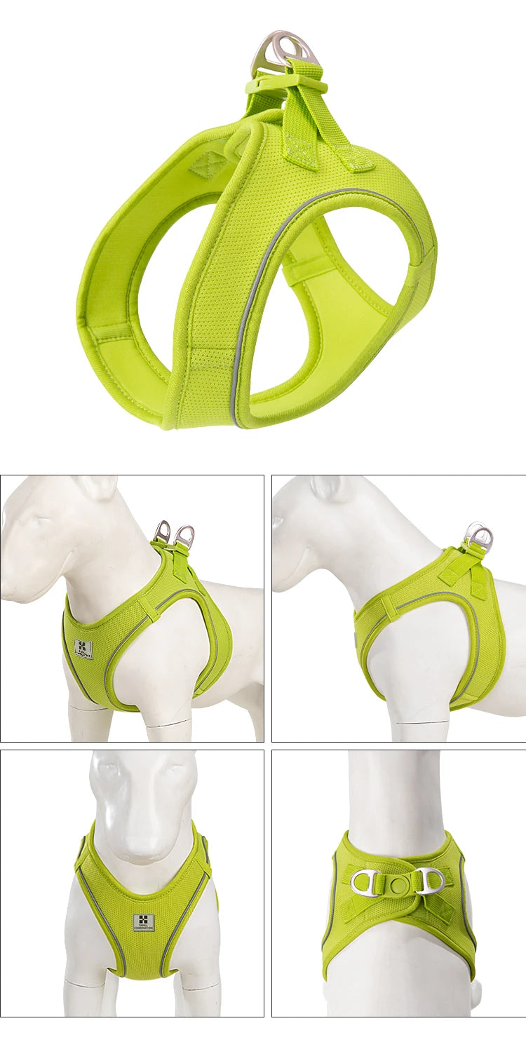 PawFit Reflective Harness & Leash Set