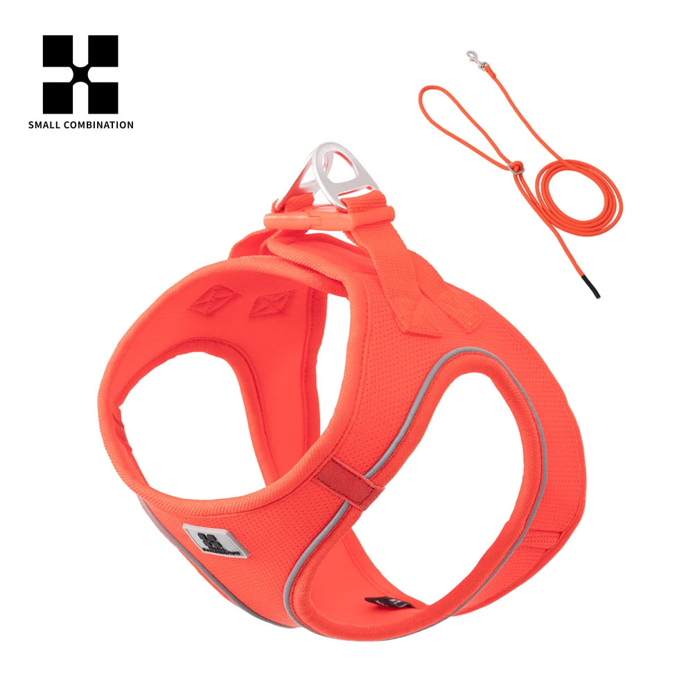PawFit Reflective Harness & Leash Set