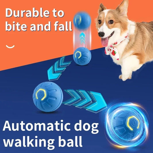 PawMotion Smart Ball