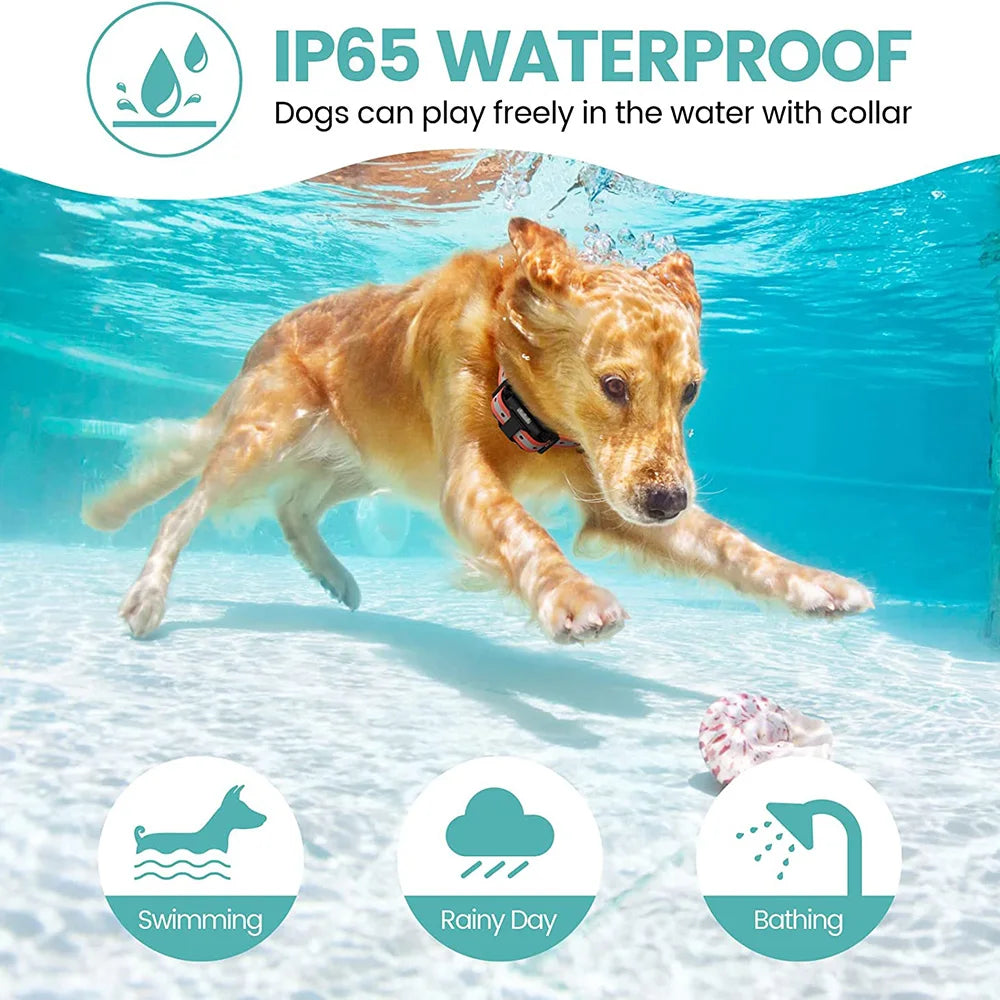 AlphaReach 800 Training Collar