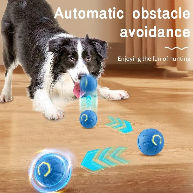 PawMotion Smart Ball