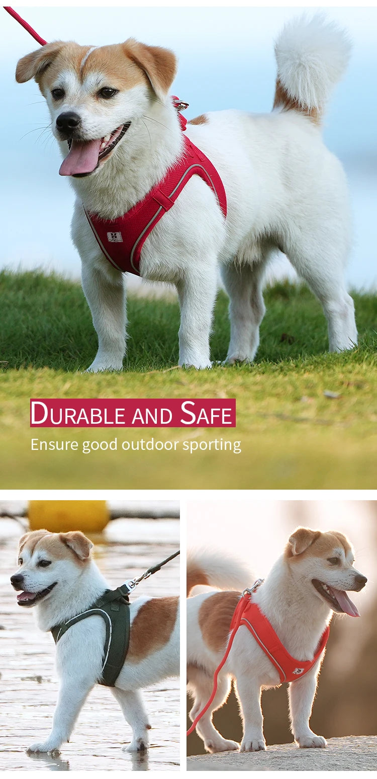 PawFit Reflective Harness & Leash Set