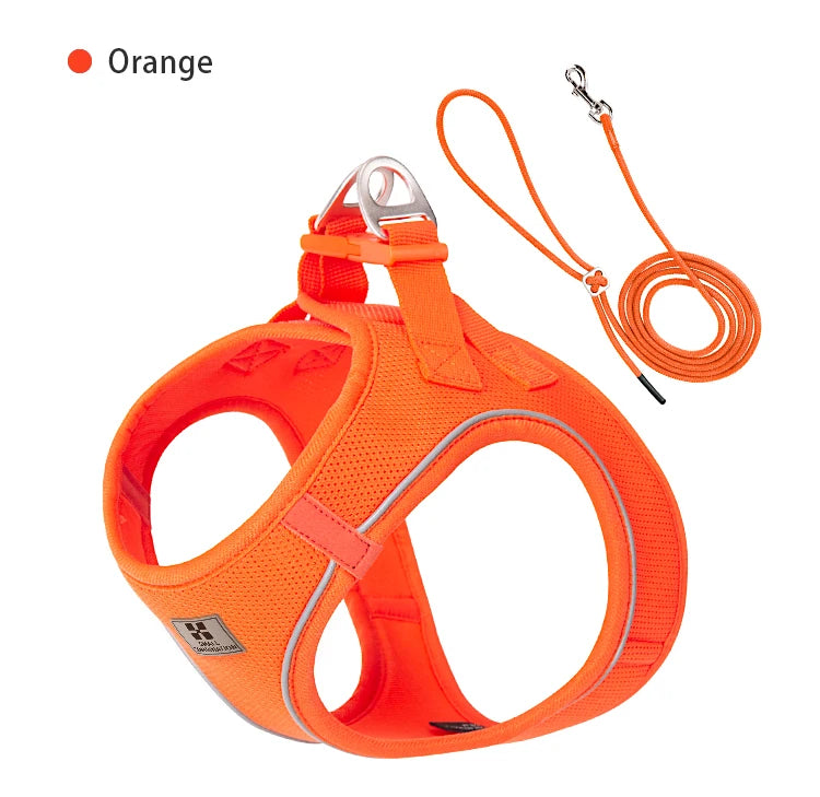 PawFit Reflective Harness & Leash Set