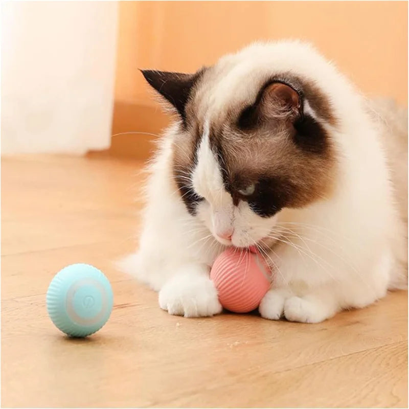 PawMotion Smart Ball