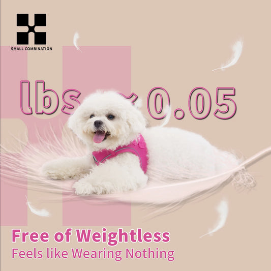 PawFit Reflective Harness & Leash Set