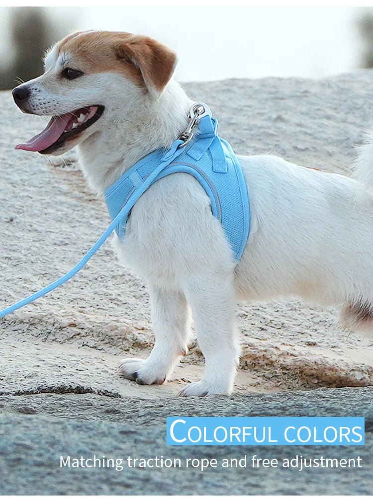 PawFit Reflective Harness & Leash Set