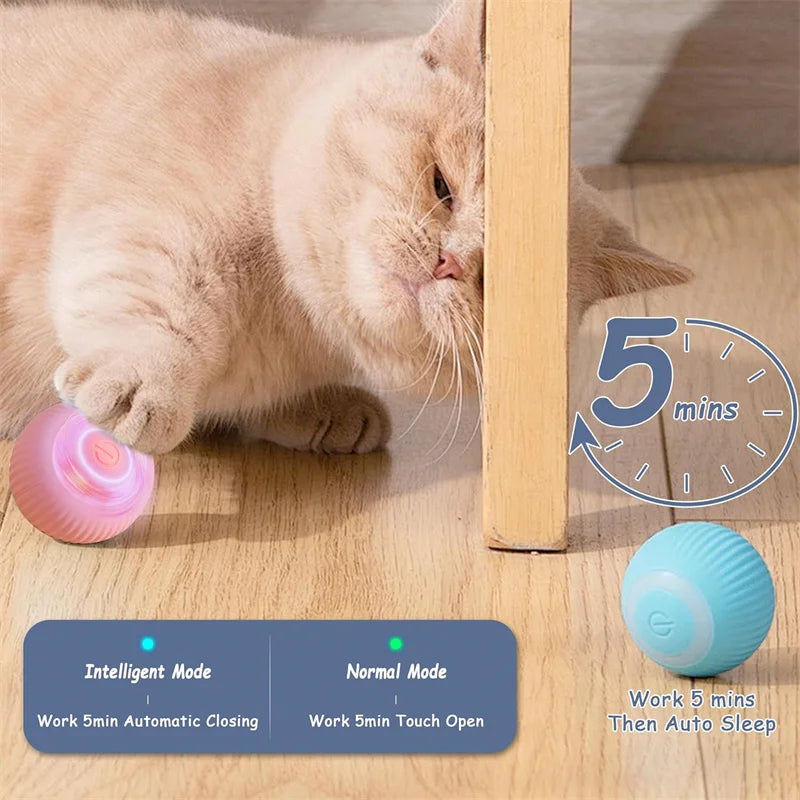 PawMotion Smart Ball