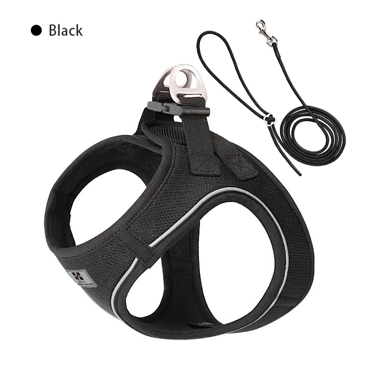 PawFit Reflective Harness & Leash Set