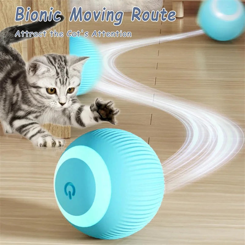 PawMotion Smart Ball