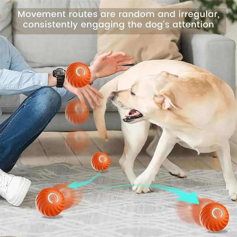 PawMotion Smart Ball