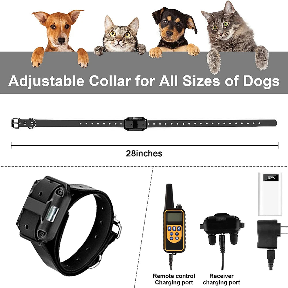 AlphaReach 800 Training Collar