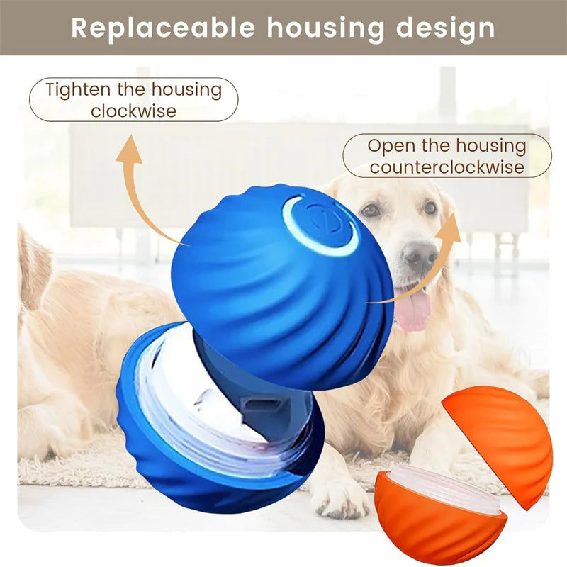 PawMotion Smart Ball